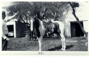 John - 1943
